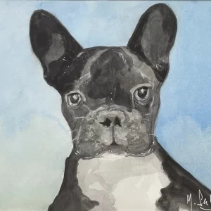 Bull Dog