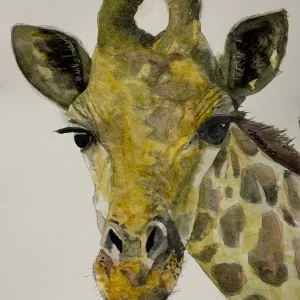 Jirafa