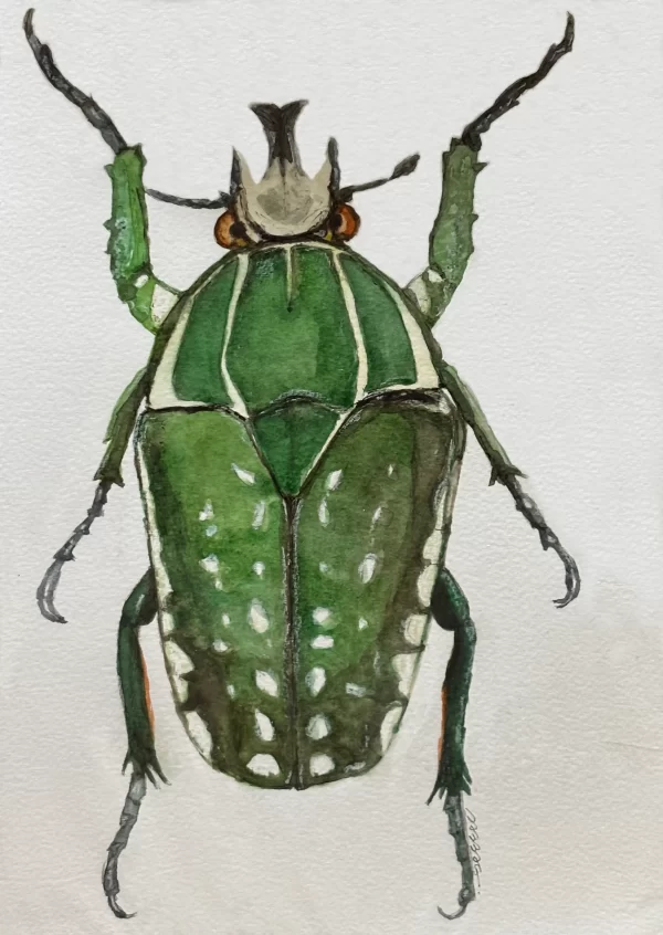 Insecto II