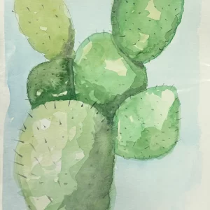 Cactus