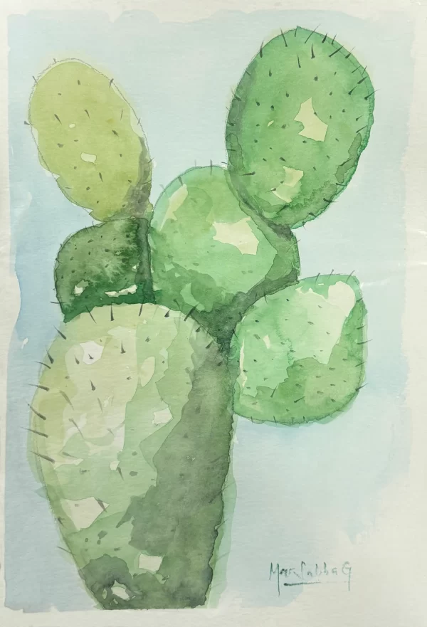 Cactus
