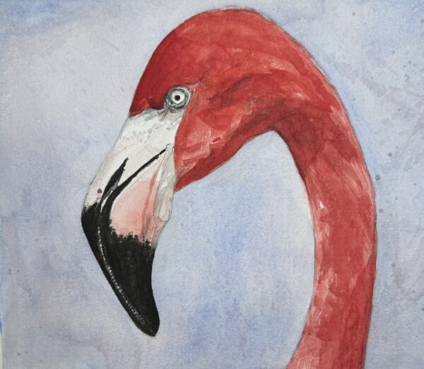 Flamencos II