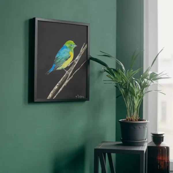 Pajaro I - Imagen 2